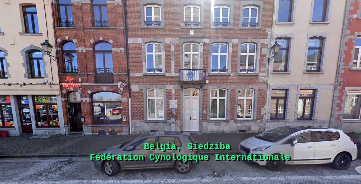 Siedziba FCI w Belgii