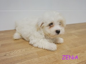 Zenia 9 tydzień
