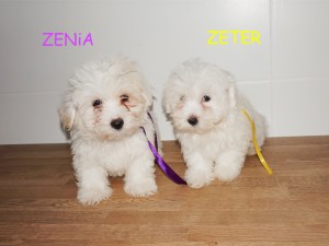 2 miesiące i tydzień