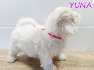 YUNA