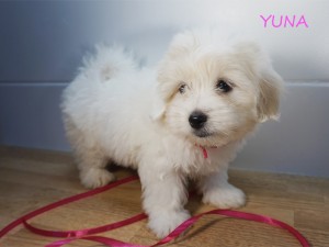 YUNA