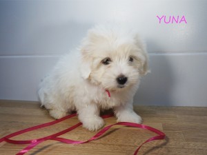 YUNA