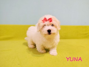 YUNA