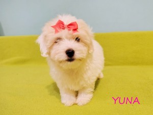 YUNA