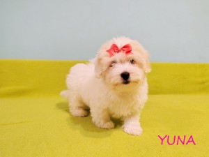 YUNA