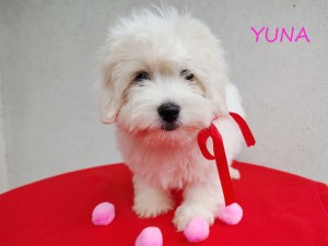 YUNA