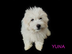 YUNA